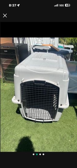 Kennel