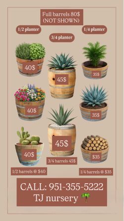 Wine barrel for sale  planters