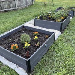 Plant Garden Bed