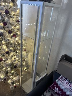 Glass Case 