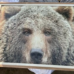 Bear Wall Decor