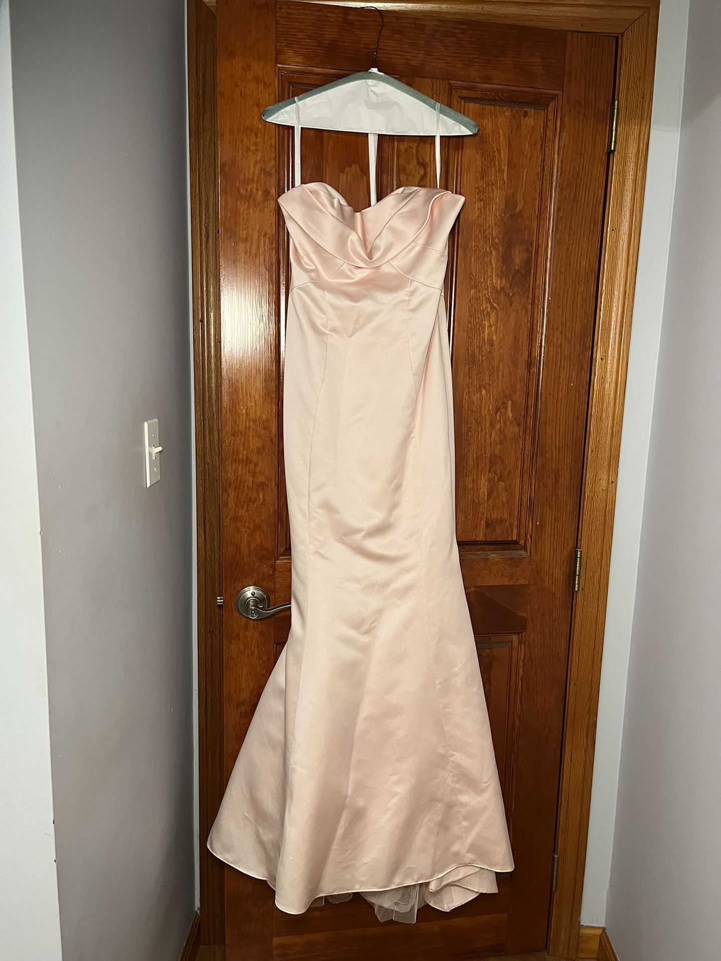 Truly Zac Posen Dress (Prom Dress / Wedding Guest Dress)