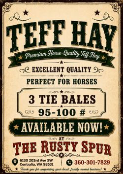 TEFF HAY New Load 1st Cutting 3 Tie