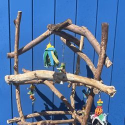 Thick Macaw Perch Tree .., A New Fave Spot For That Gnarly Macaw … A Great Socializer !! 👍🏼