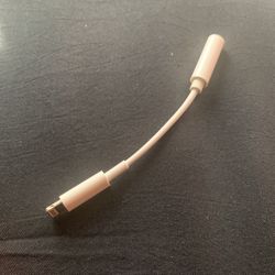 iPhone to auxiliary adapter