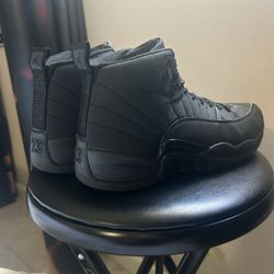 Jordan 12s Men’s Black