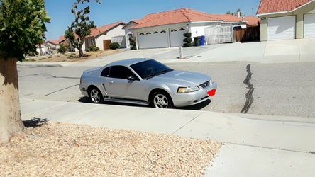 2000 Ford Mustang