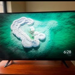 LG 49" UJ6200 Series 4K LED Smart TV, 49UJ6200