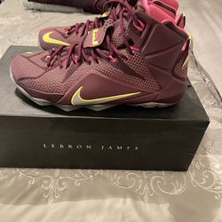 Nike Men’s LeBron Size 11.5 $50