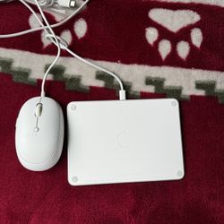 Apple Mouse Pad-New Unused 