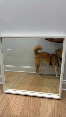 Square Mirror