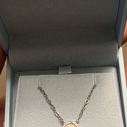 Ladies Charm Necklace Silver 