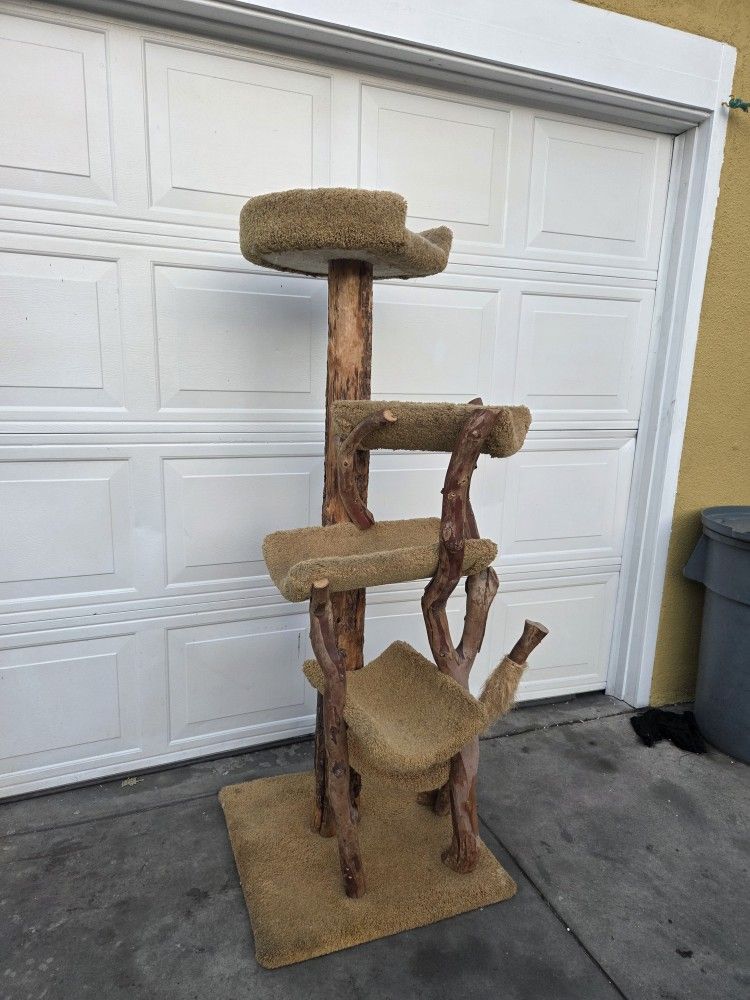 Cat Tree $85