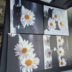 Daisy Pictures (4pcs)