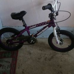 Tony hawk huck series bicycle.