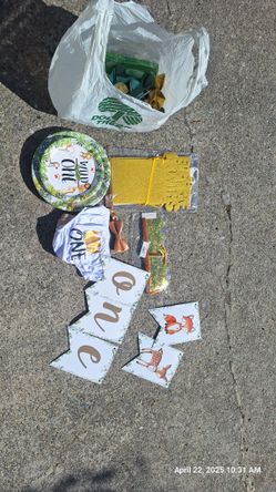 "Wild One" Birthday Decor