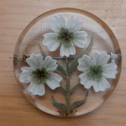 Vintage Reverse Carved Lucite Brooch & earrings