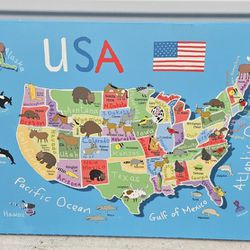 USA Canvas Print Map