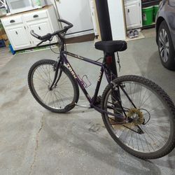 Summer sale bicycle 