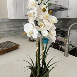 Orquídeas artificiales 
