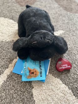 Calming heartbeat plush dog