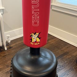 Freestanding Training Bag