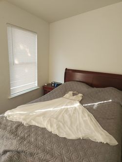 Dress Size Medium New 