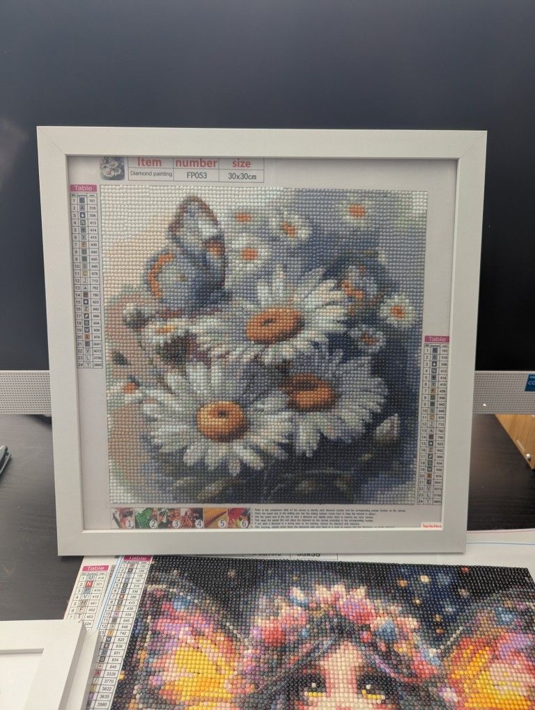COMPLETED Diamond Paintings 