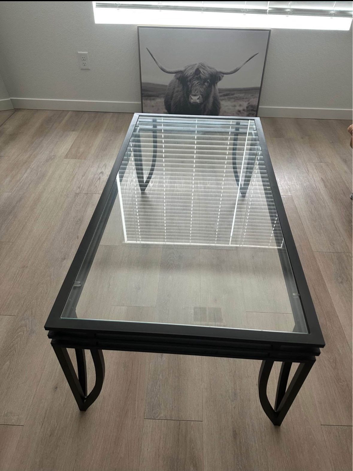 Glass Coffee Table (price negotiable) 