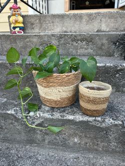 Woven Basket Planters / Pots