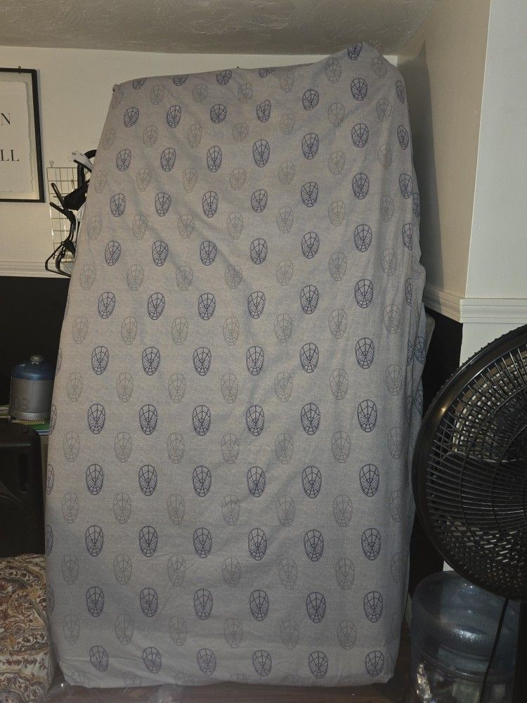 Free!!!! Twin Size Mattress