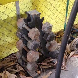 Dumbbells And Weight Lifting Equipment