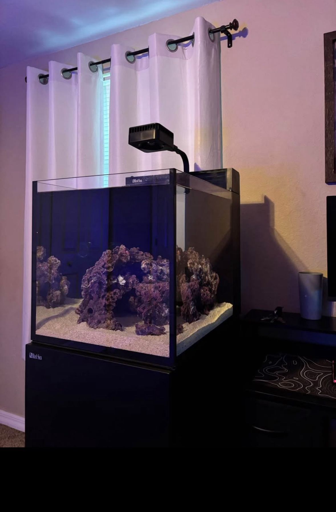 Saltwater Aquarium 