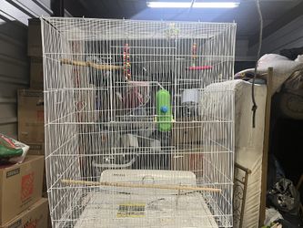 Big White Bird cage