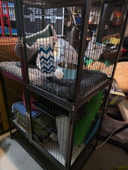 Large Ferret Cage