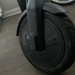 Segway Scooter