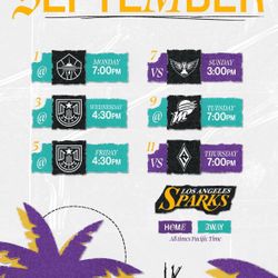 LA SPARKS VS DALLAS WNBA