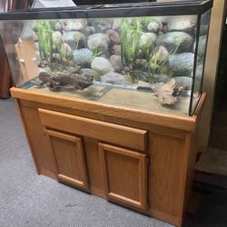 fish tank for reptiles 🐊 whit vase 55 galons