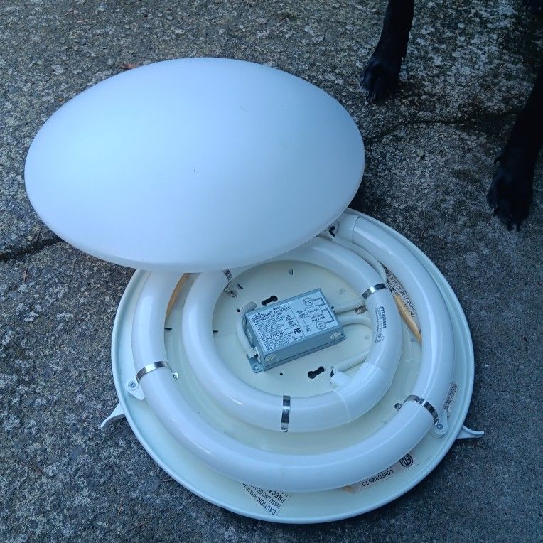 Light Fixtures