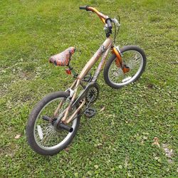 20 Inch Rampage  Bike