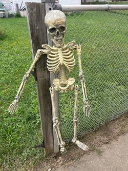 Full Body Plastic Halloween Skeleton Decoration