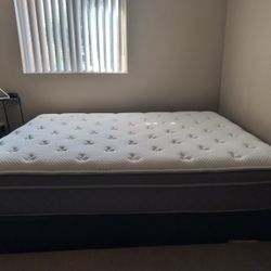 Queen Matteess Bed Must Go By April 5th $300