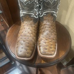 Remy Men Full Quill Ostrich Boots:9.5 Like New