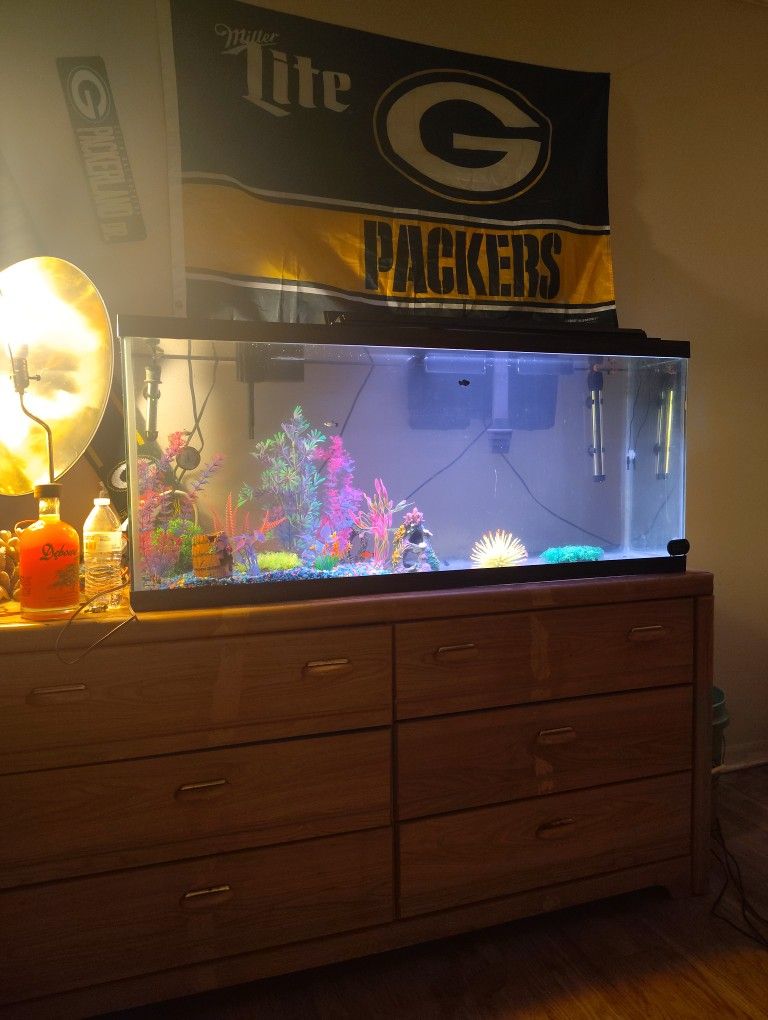 65 Gallon Fish Tank