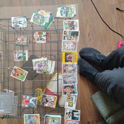 Mixed Assortment Of Sports Cards From Baseball To Football To Basketball And Cards Like Bobby Vanilla And Barry Bonds 