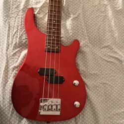 Rogue Bass