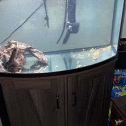 Fish Tank with Stand