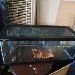 Fish Tank
