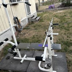 Weight Bench