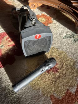 Fender Passport P-10W